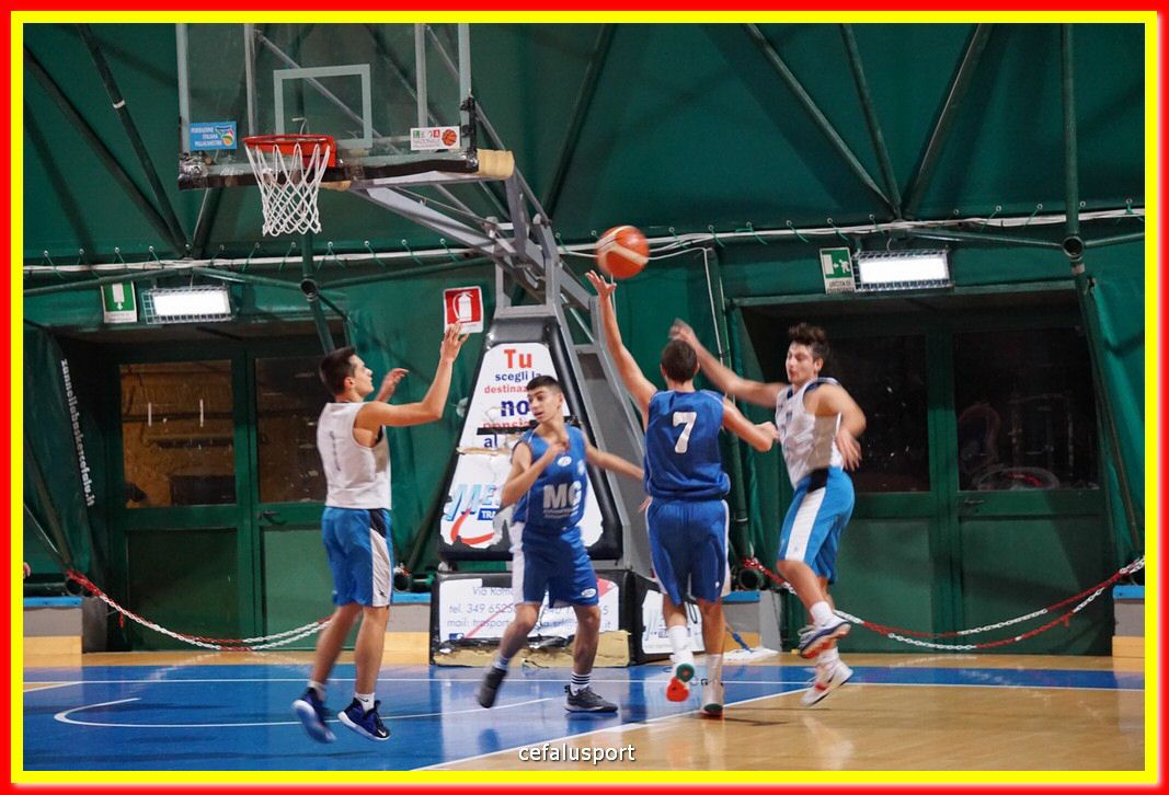 DSC08174.jpg