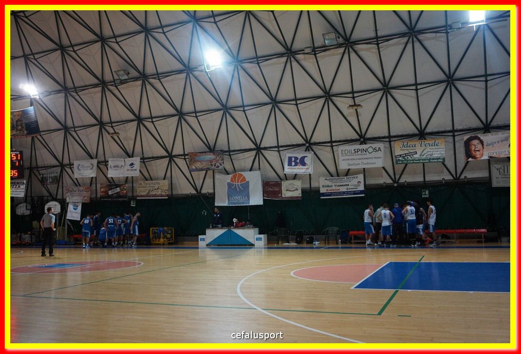 DSC08230.jpg