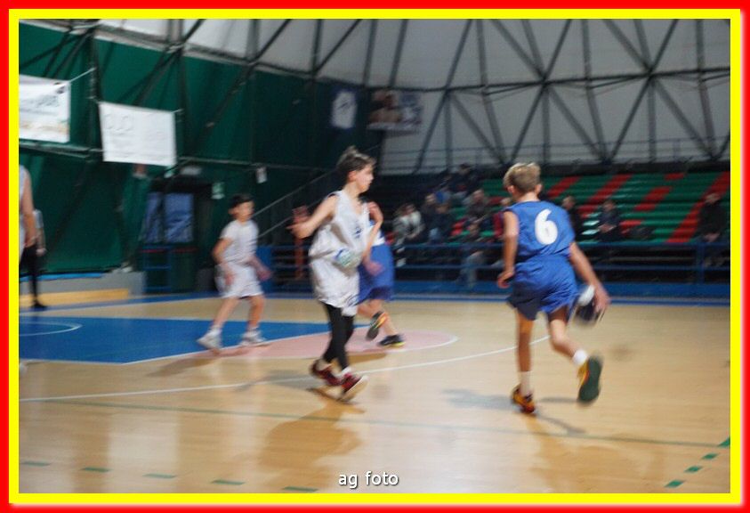 DSC06339.jpg