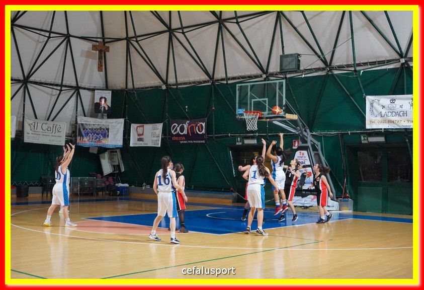 DSC07710.jpg