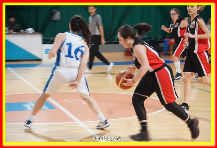 DSC07726.jpg