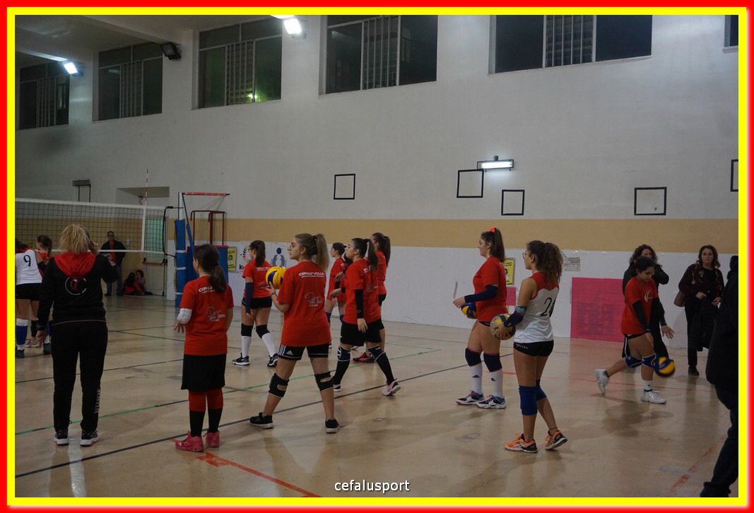 DSC08557.jpg