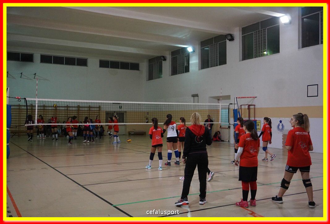 DSC08558.jpg