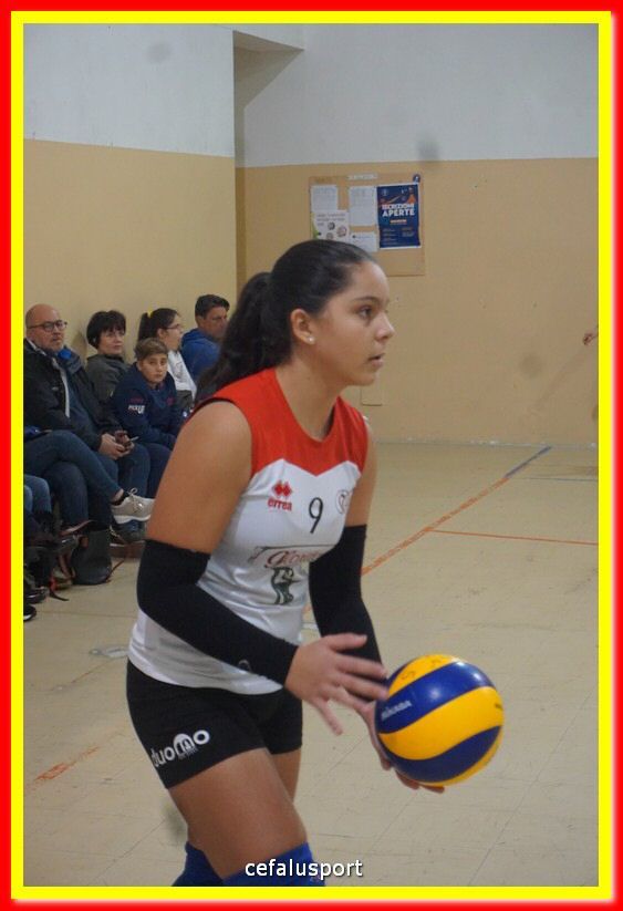 DSC08582.jpg