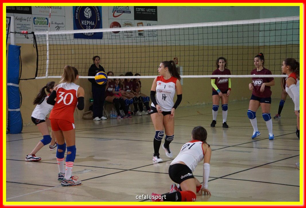 DSC08604.jpg