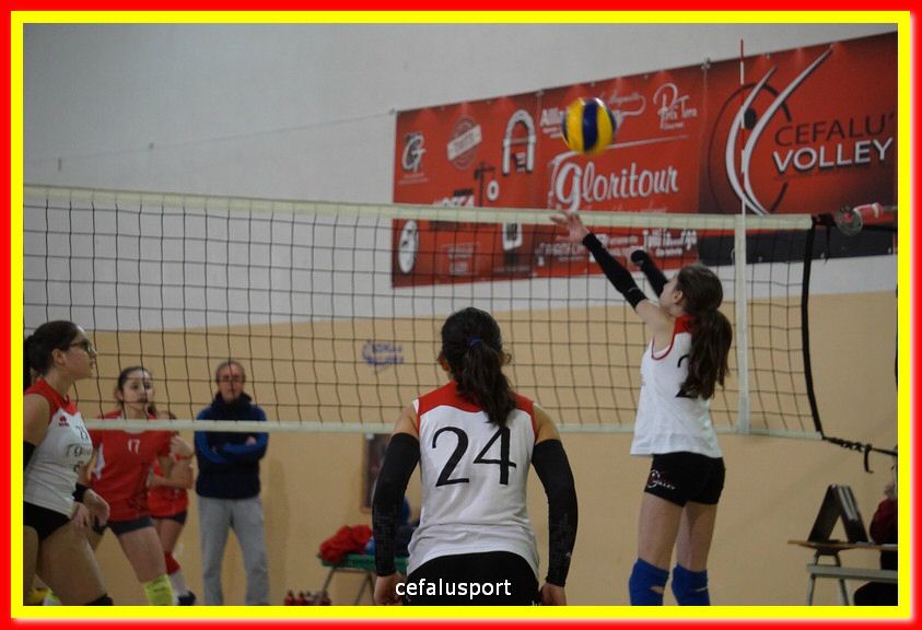 DSC06449.jpg