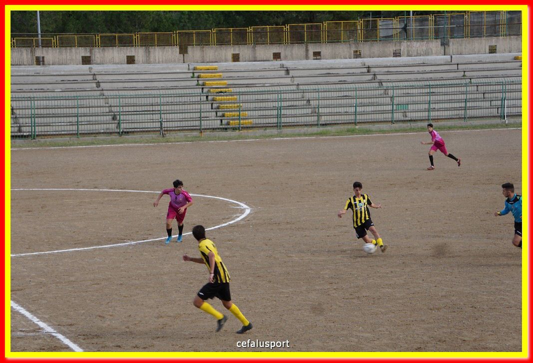 DSC07362.jpg
