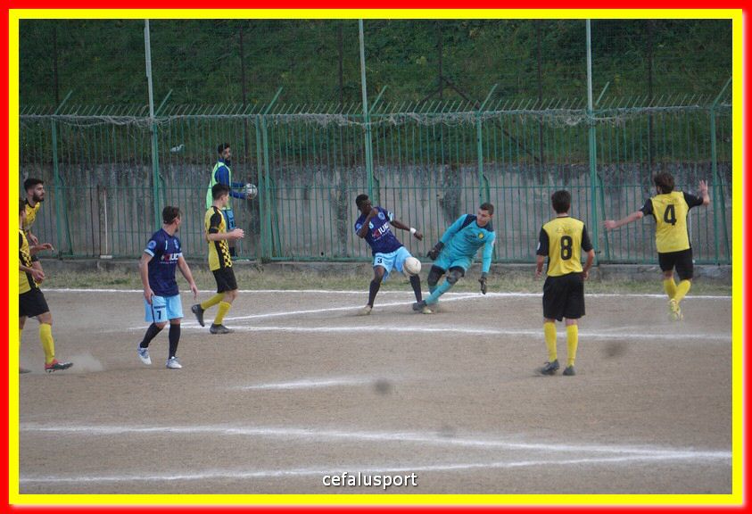 DSC06884.jpg