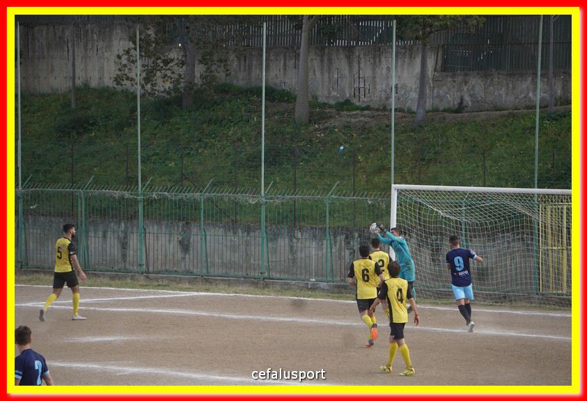 DSC06890.jpg