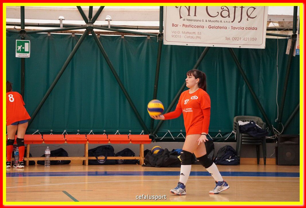 DSC07636.jpg