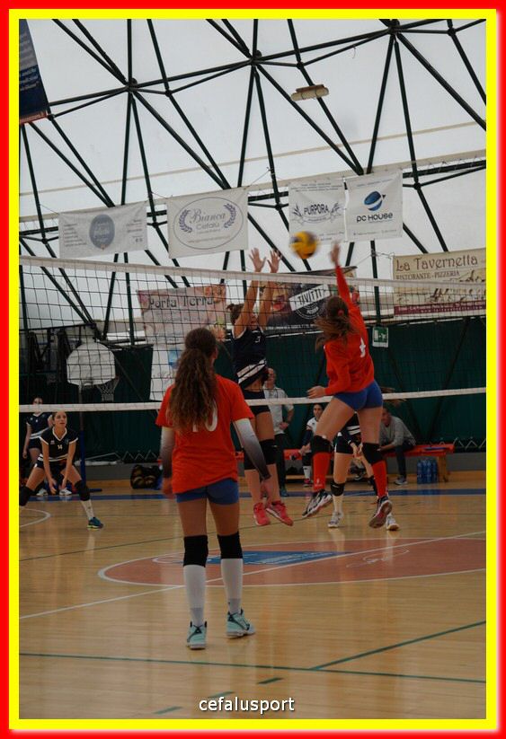 DSC07648.jpg