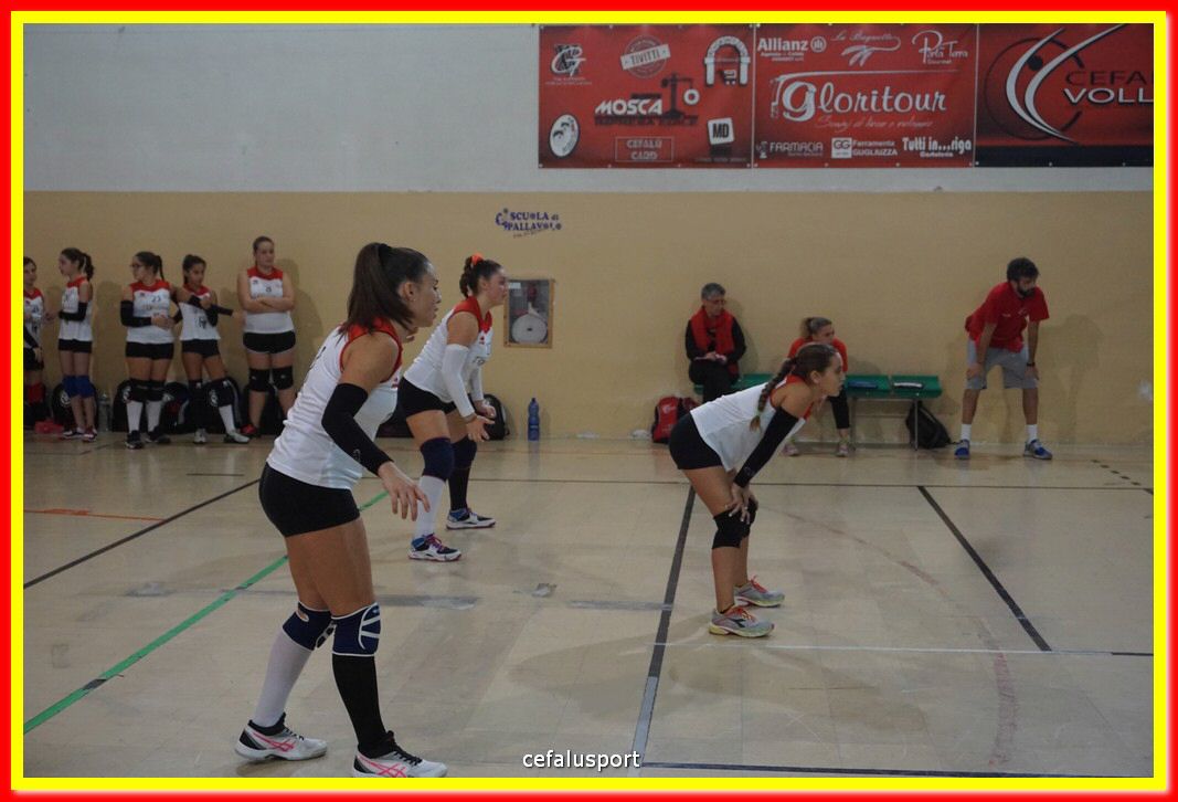 DSC07806.jpg