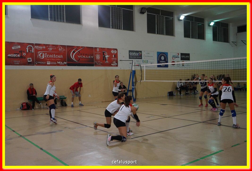 DSC07809.jpg