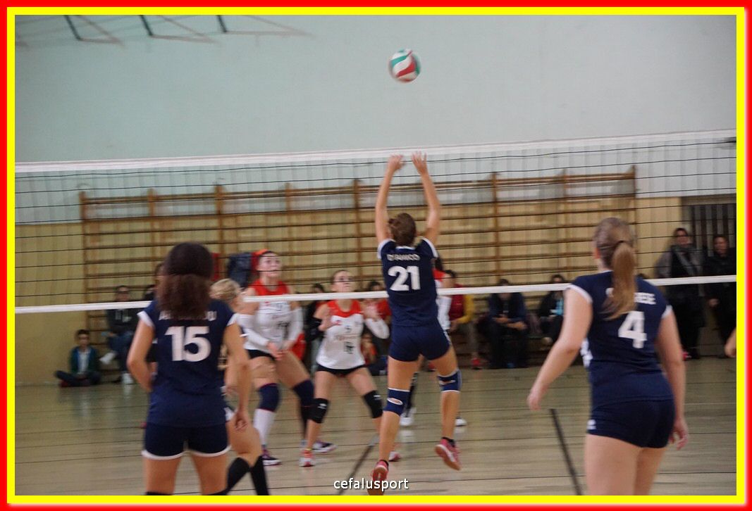 DSC07844.jpg