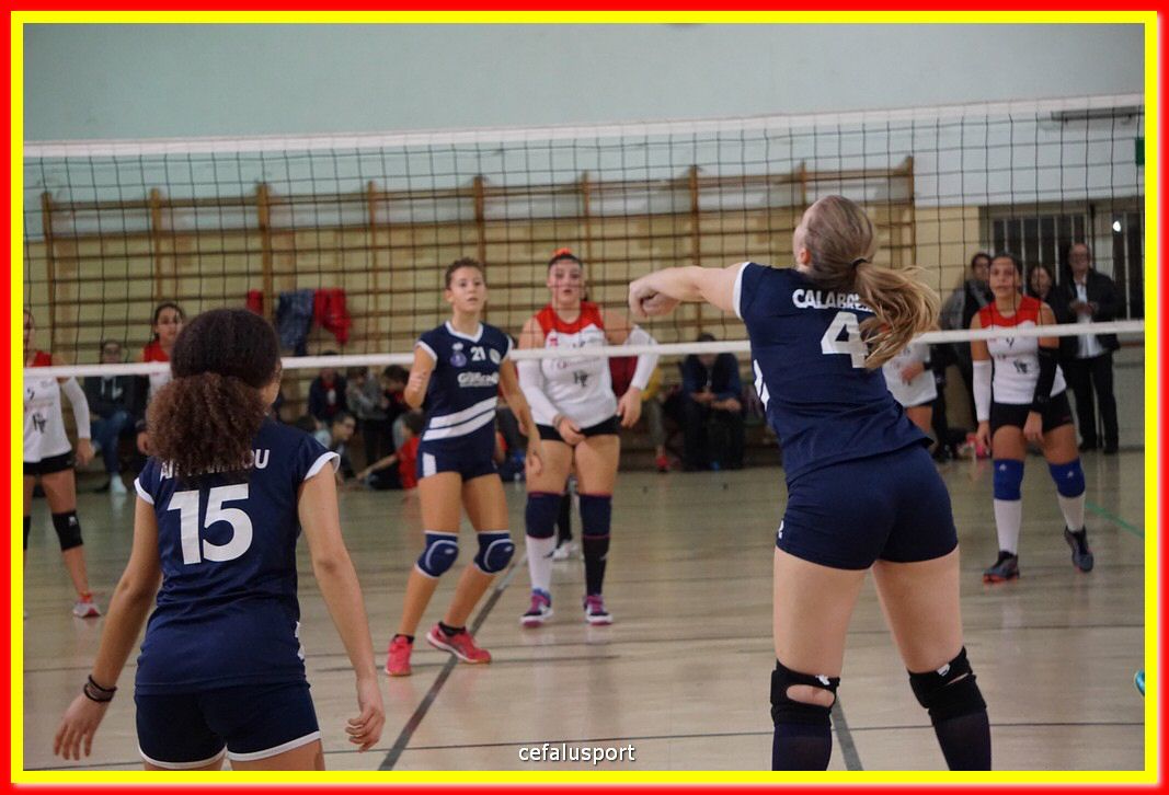 DSC07845.jpg