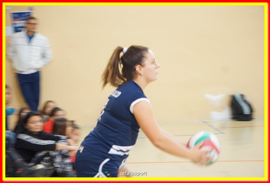 DSC07848.jpg