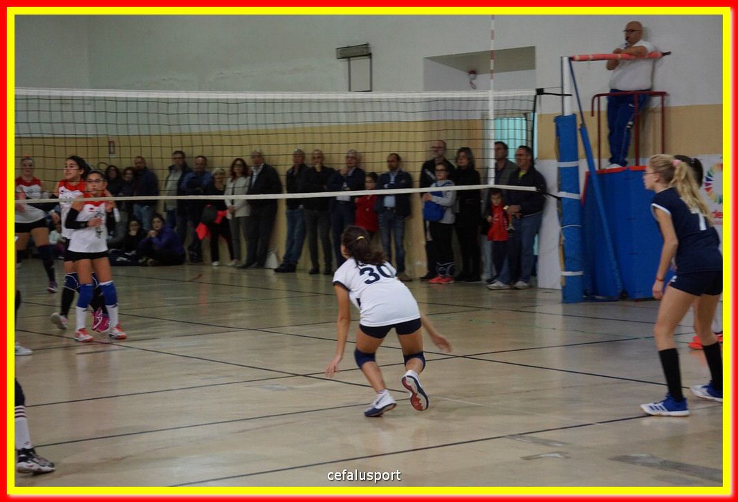 DSC07865.jpg