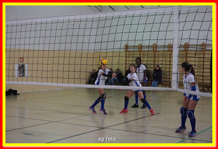 DSC05428.jpg