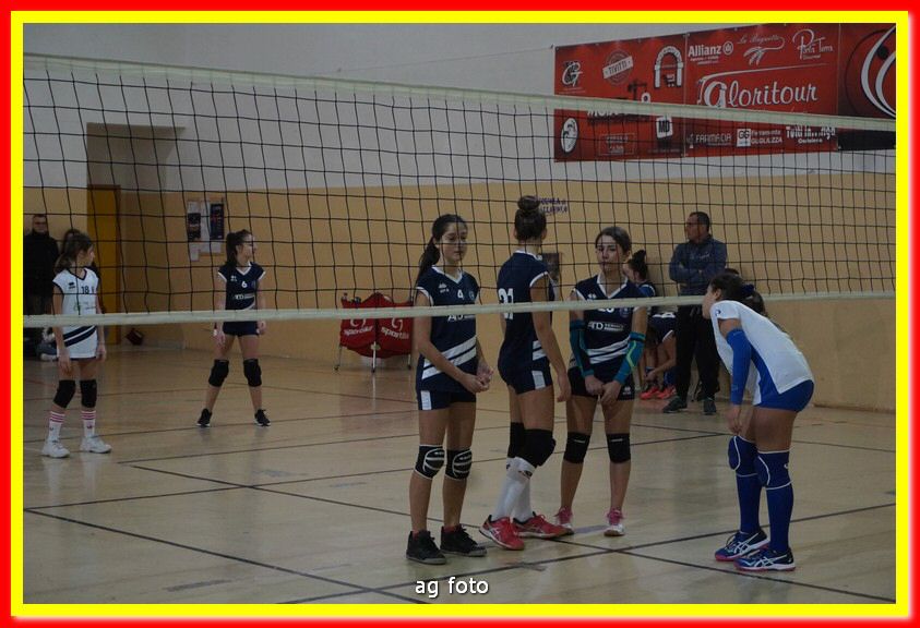 DSC05433.jpg