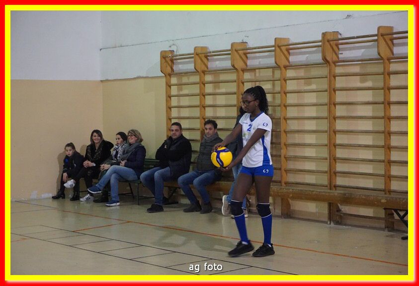DSC05446.jpg