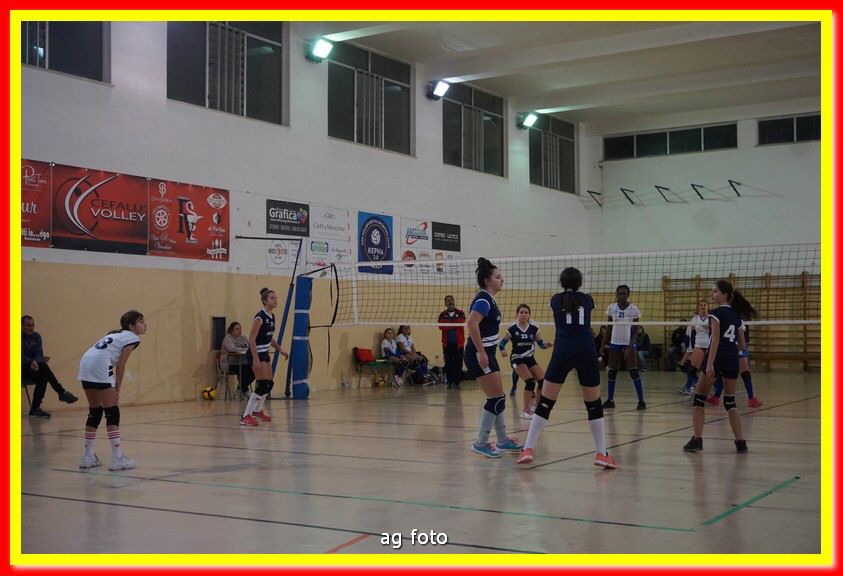 DSC05458.jpg