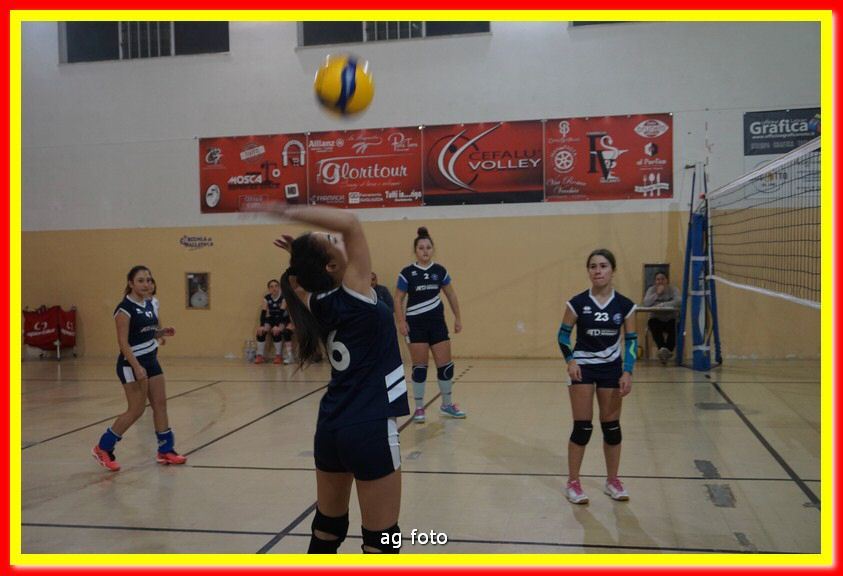 DSC05469.jpg