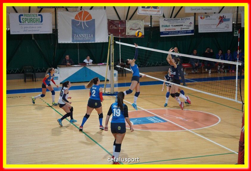 DSC07180.jpg