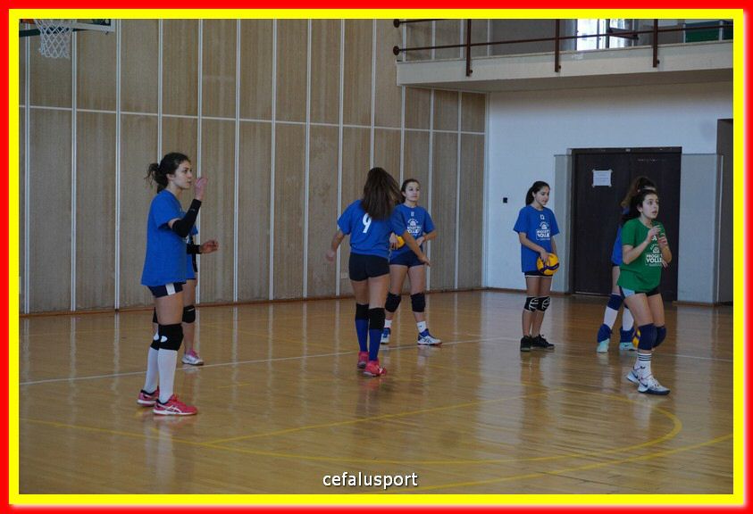 DSC06978.jpg