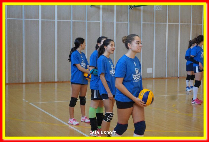 DSC06982.jpg