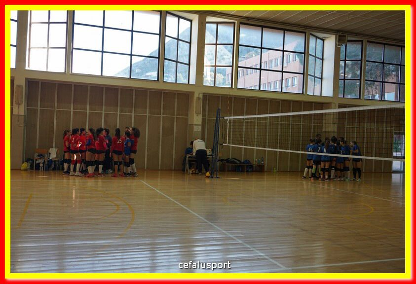 DSC07010.jpg