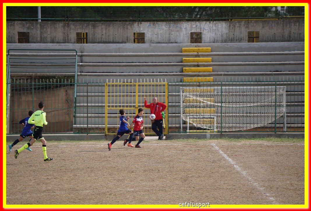 DSC06964.jpg