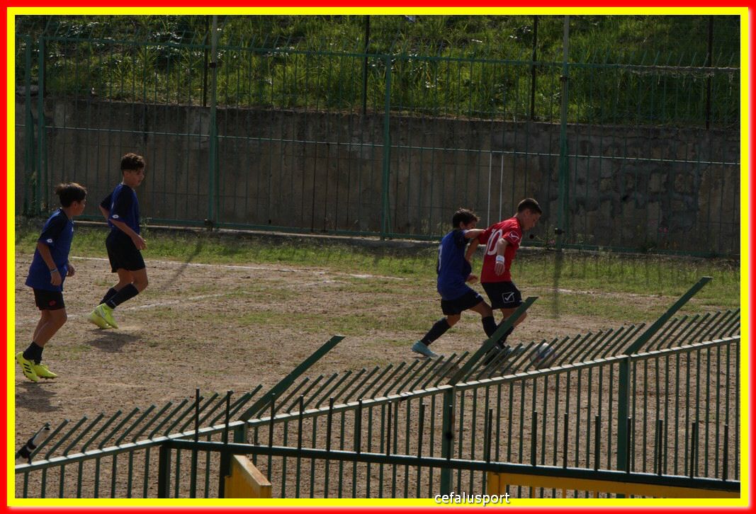 DSC07004.jpg