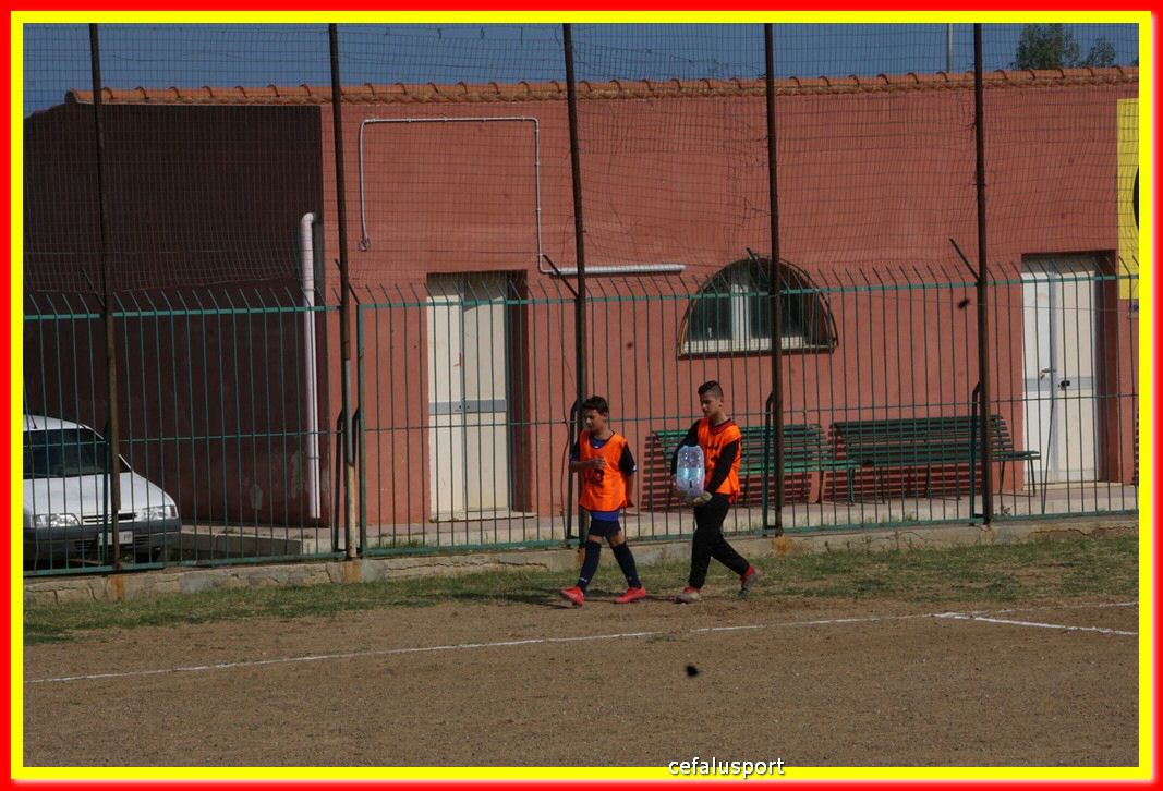 DSC07068.jpg
