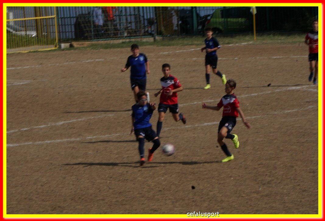 DSC07077.jpg