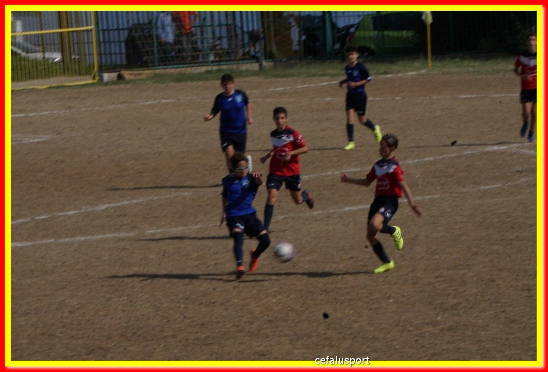 DSC07078.jpg