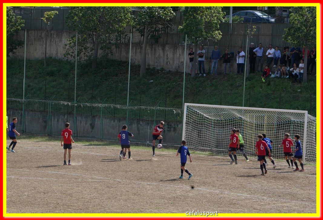 DSC07081.jpg