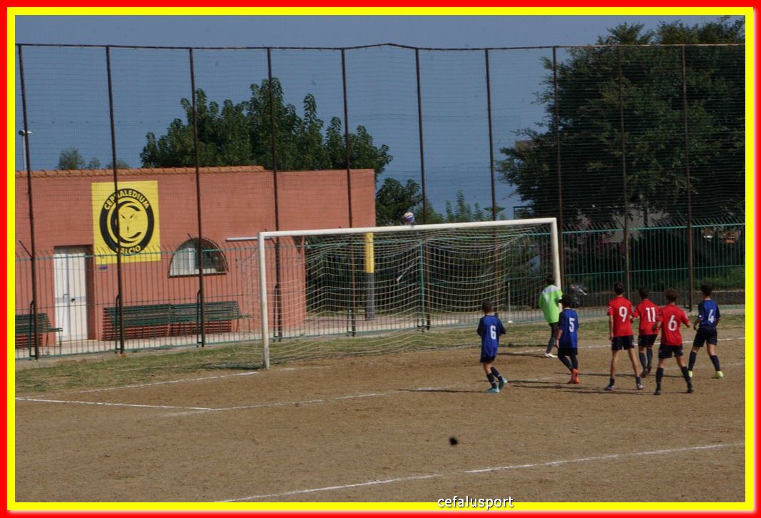 DSC07092.jpg