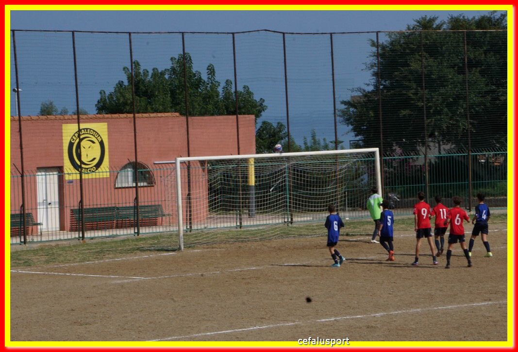 DSC07093.jpg