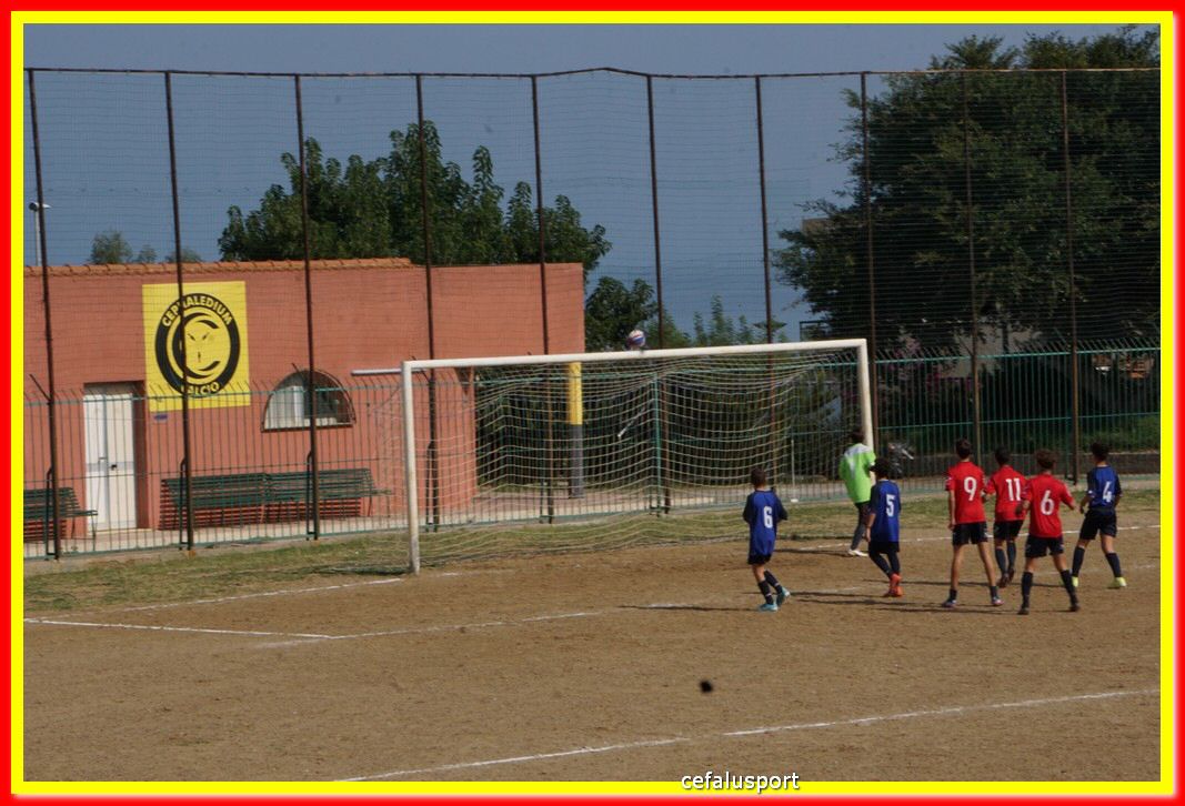 DSC07094.jpg