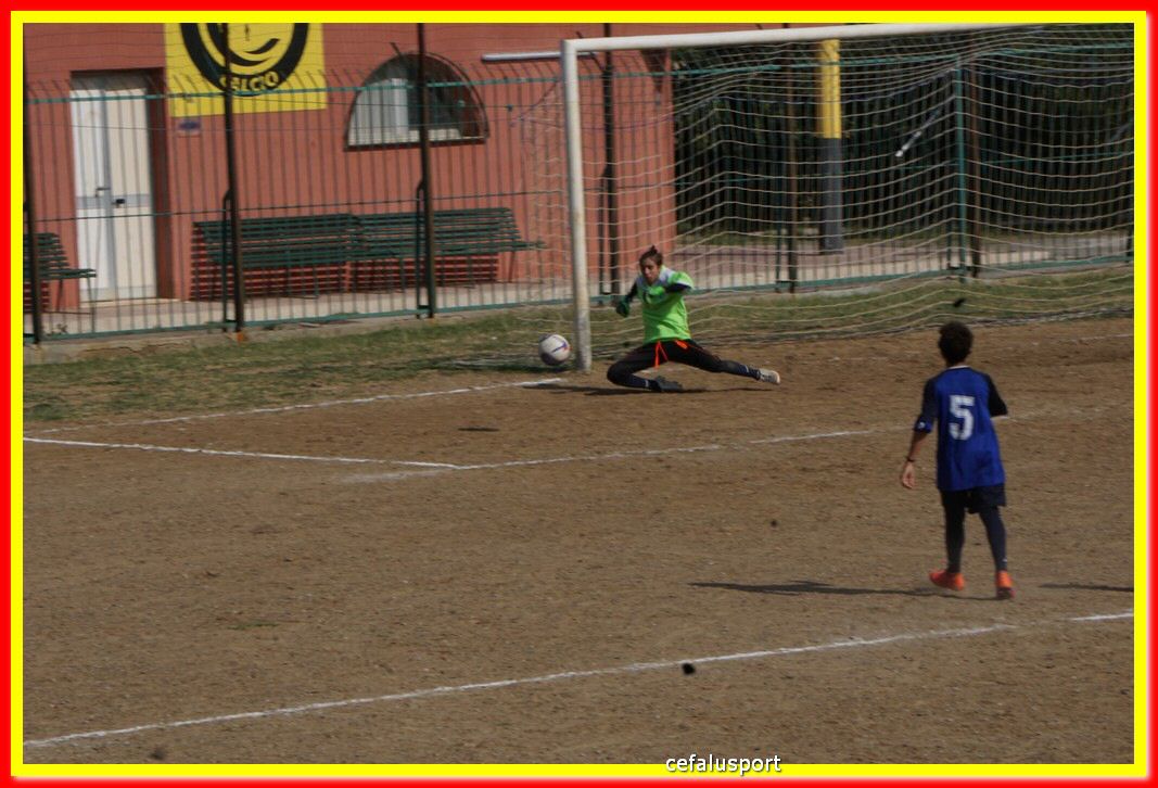 DSC07101.jpg