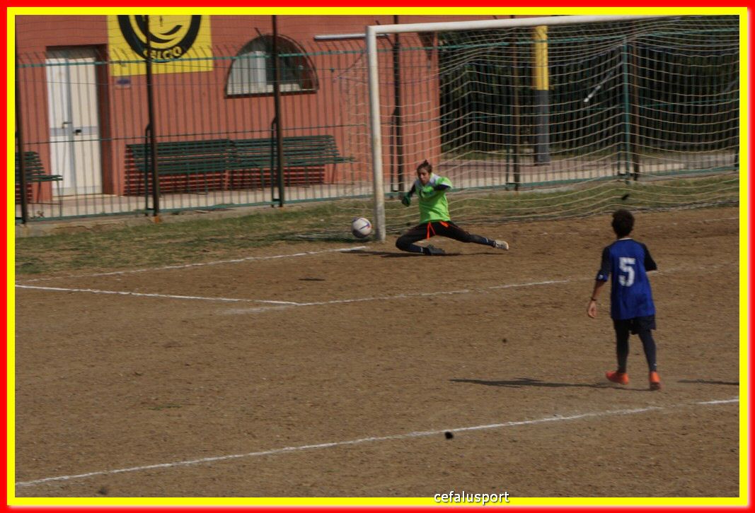 DSC07103.jpg