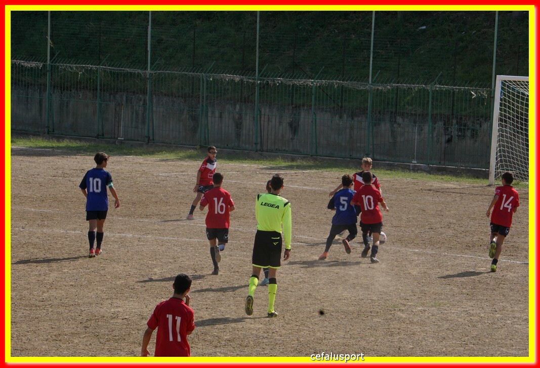 DSC07110.jpg