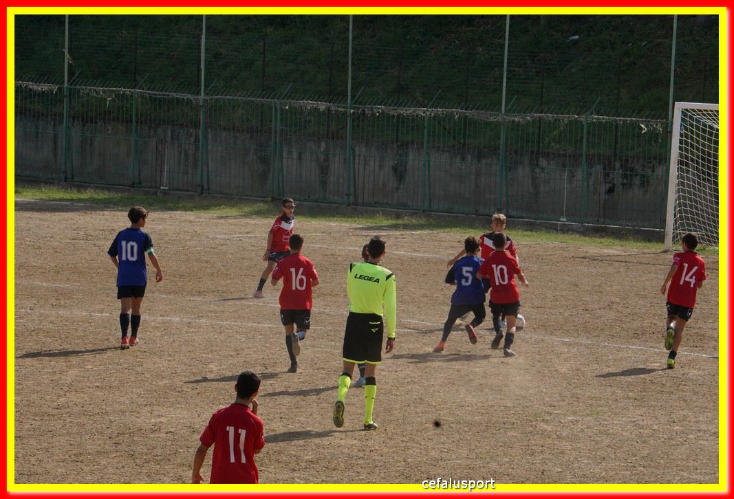 DSC07112.jpg