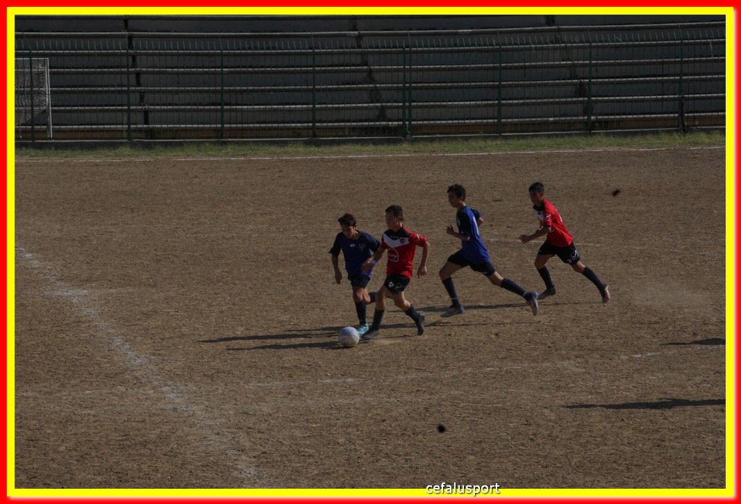 DSC07165.jpg