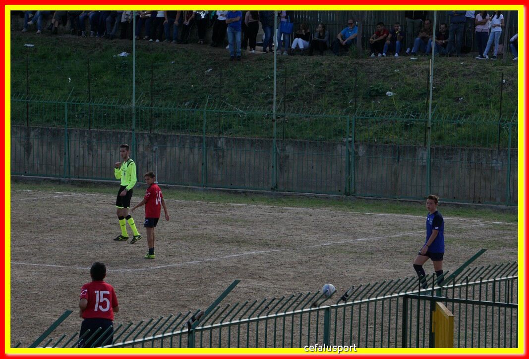 DSC07176.jpg