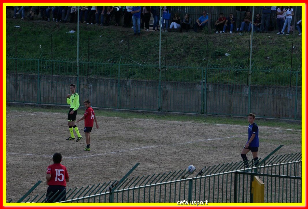 DSC07177.jpg