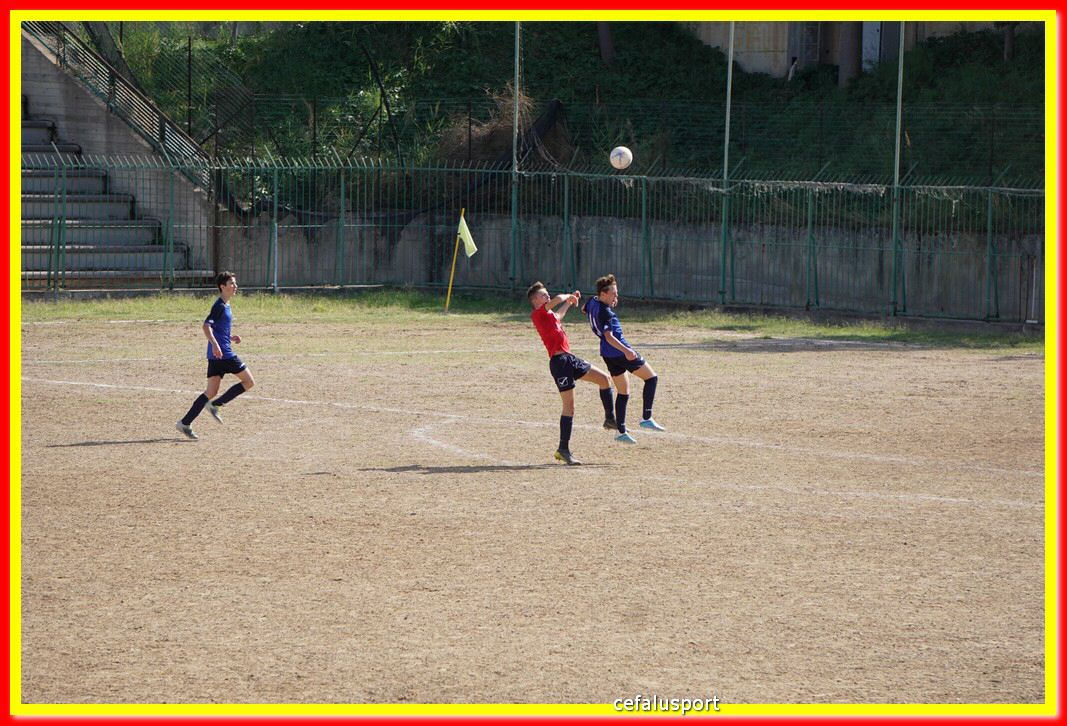 DSC07195.jpg