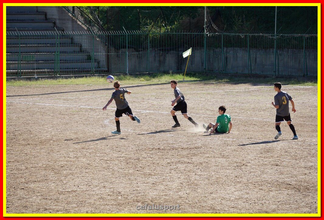 DSC08005.jpg