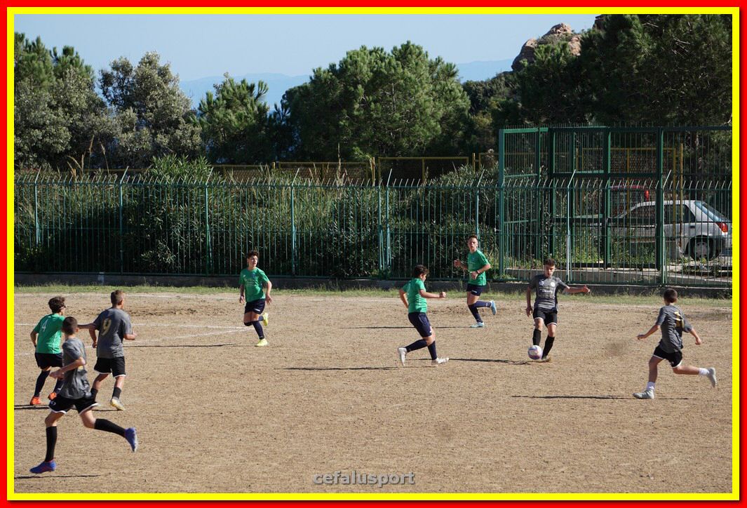 DSC08015.jpg