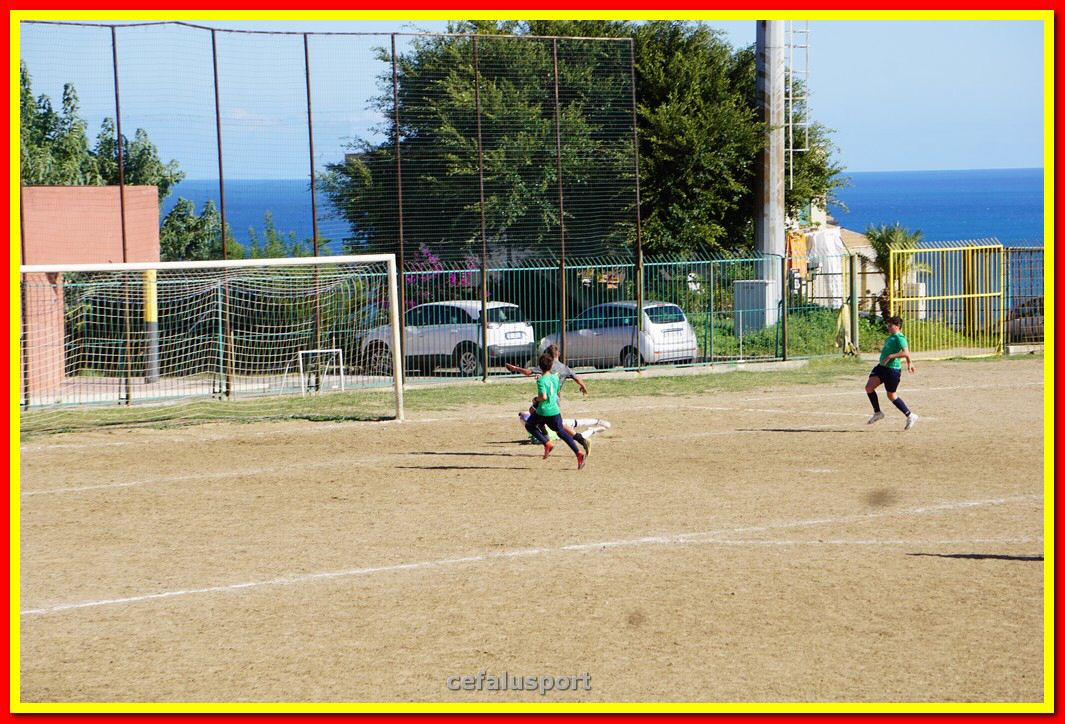 DSC08034.jpg